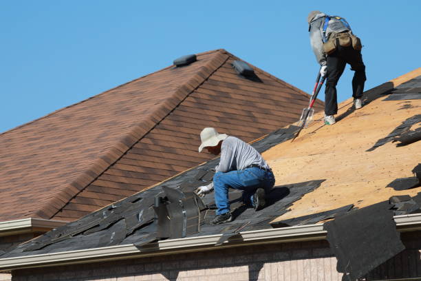 Best Roof Maintenance and Cleaning  in Logan, OH